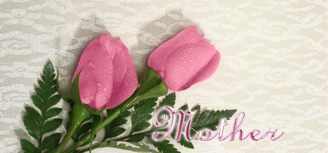 P 054 M 2 Roses Pink Mother